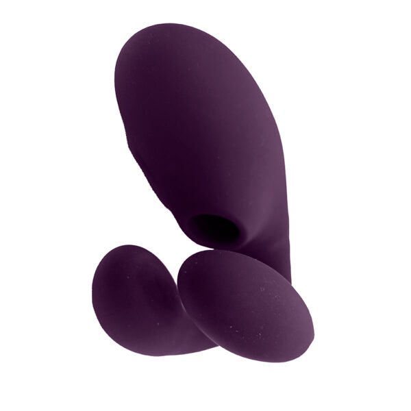 Vibrador de Casal Beet com Sugador e Controle - Imagem 2