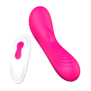Vibrador de Calcinha Intimate com Controle